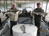 (10/17/2015) - Nice Striped Bass